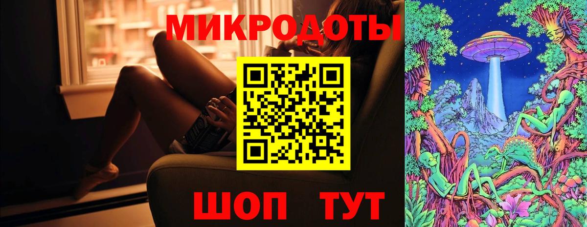 Псилоцибиновые грибы Psilocybe Луга