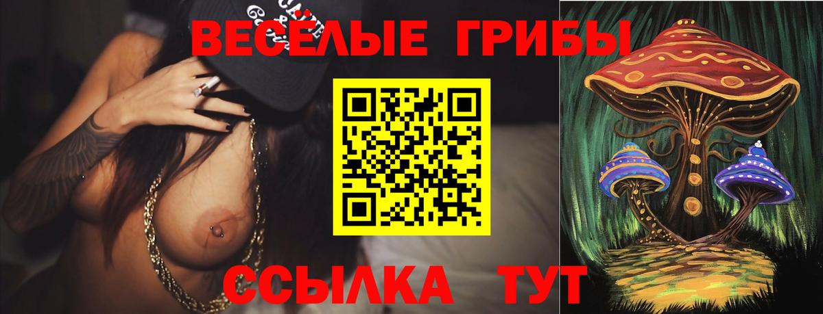 Галлюциногенные грибы мицелий  Вход с VPN  Луга 